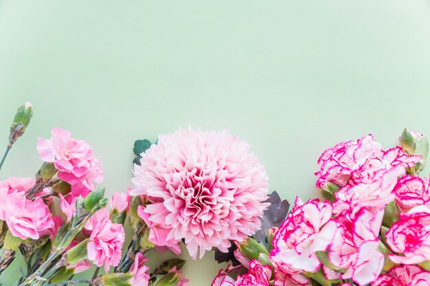 Different pink flowers on green table 