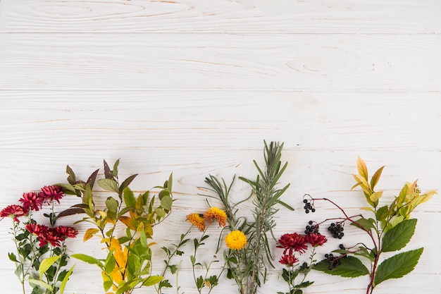 Different plant branches with flowers on table