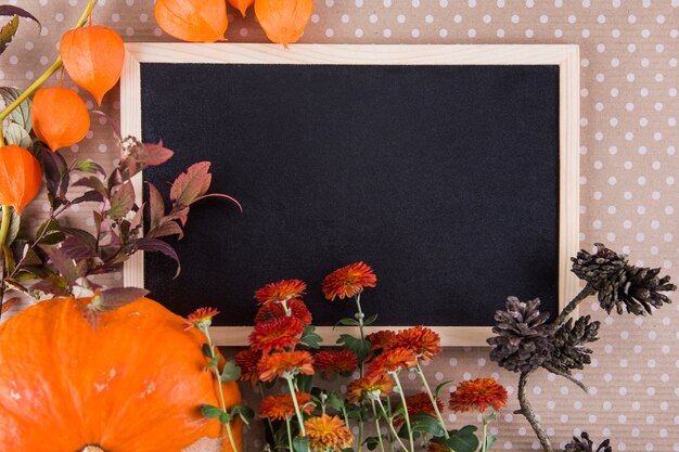 Different plants with blank chalkboard on table