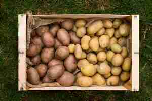 Free photo different potatoes in wooden box