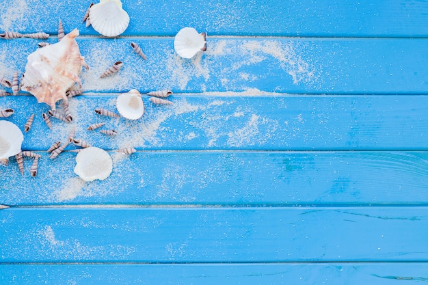 Different sea shells on wooden table