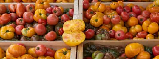 Free photo different tomatoes in french market