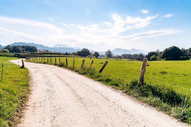 昼間の青空の下、芝生の真ん中の未舗装道路