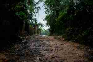 Foto gratuita strada sterrata