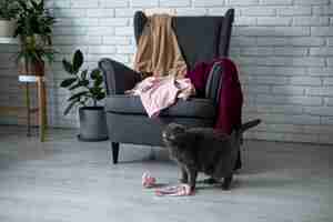 Free photo dirty home concept with clothes on chair and floor