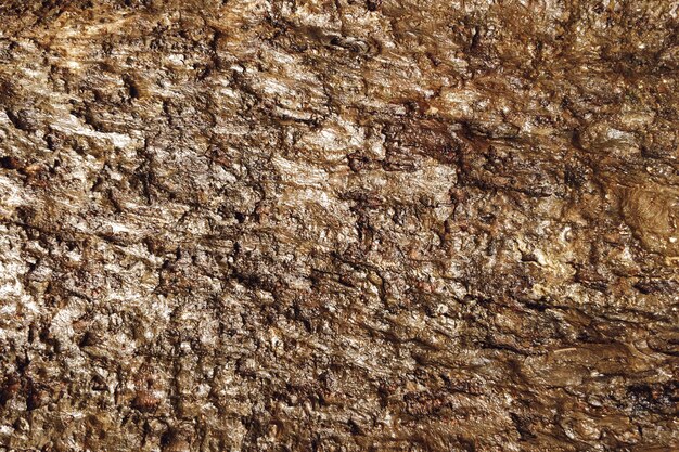 Dirty mud texture background