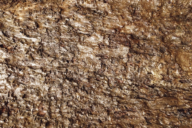 Dirty mud texture background