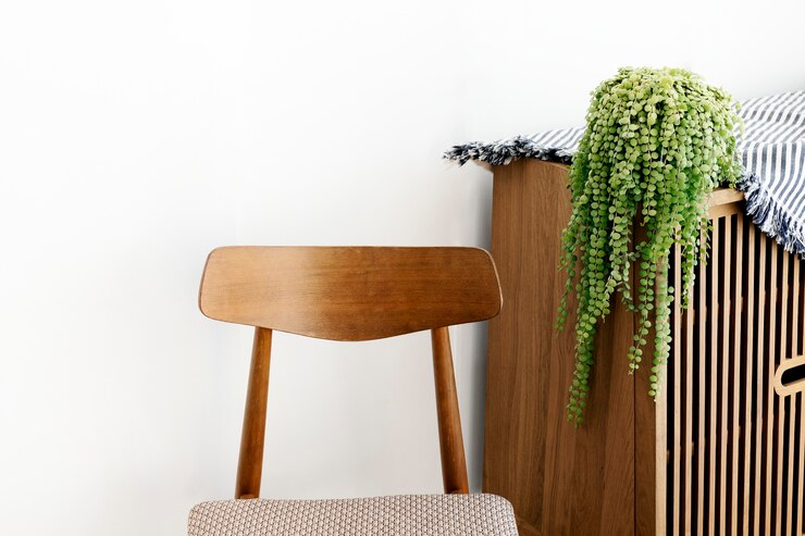 Free Photo dischidia plant on a wooden cupboard