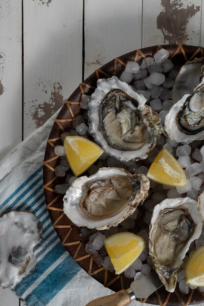 Dish made of oysters with citrus and ice cubes