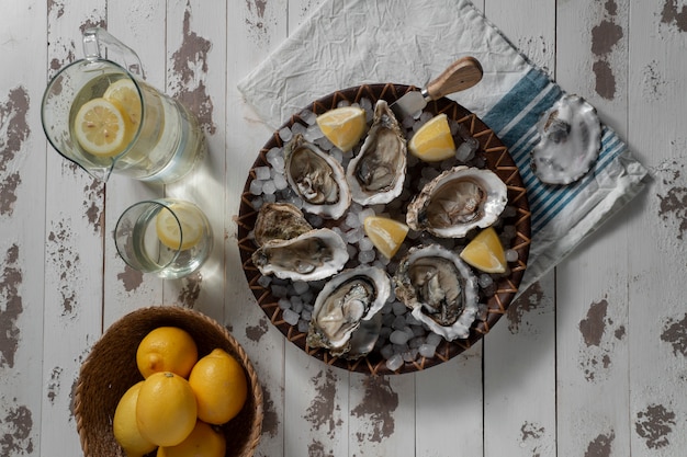 Dish made of oysters with citrus and ice cubes