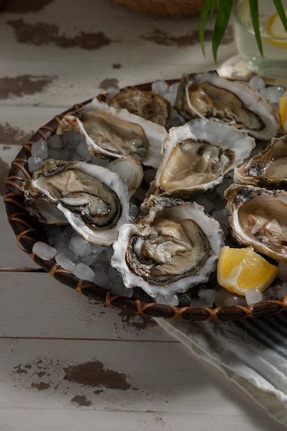 Dish made of oysters with citrus and ice cubes