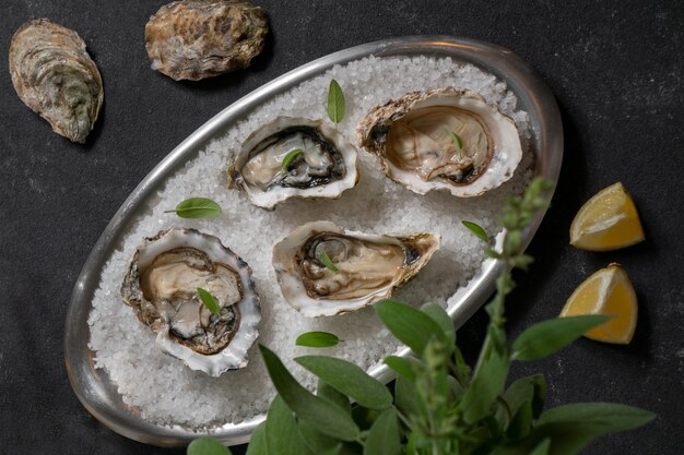 Dish made of oysters with citrus and ice cubes