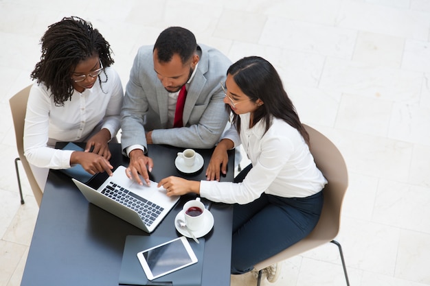 Free photo diverse business group working on laptop