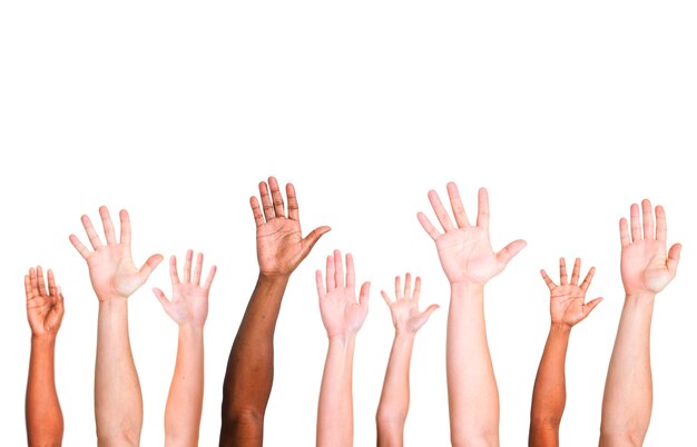 Diverse group of raised hands 