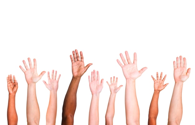 Diverse group of raised hands 