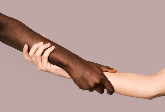 Free photo diverse hands holding and support other