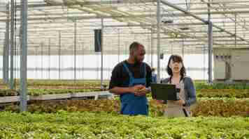 Foto gratuita diversi lavoratori agricoli biologici utilizzano il laptop per gestire gli ordini online di lattuga biologica coltivata senza pesticidi mentre i colleghi spostano le casse. uomo e donna che utilizza un computer portatile parlando di agricoltura.