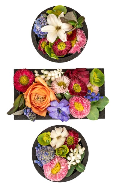 Free photo division sign made of real natural flowers and leaves on white background