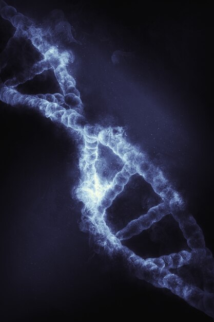 DNA 세포