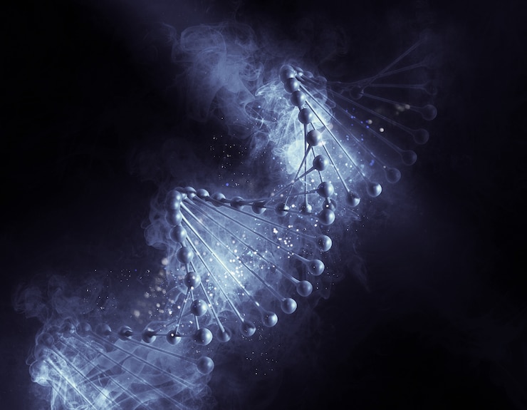 무료 Photo dna 나선