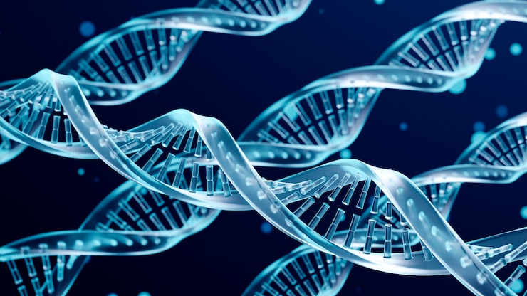 無料Photo dna 表現の概念
