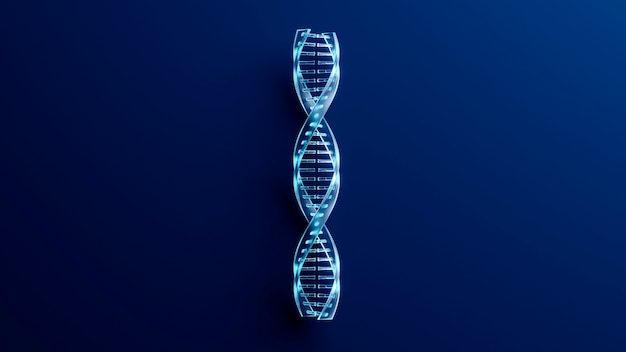 DNA 表現の概念