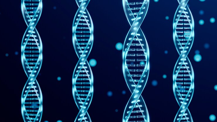 無料Photo dna 表現の概念