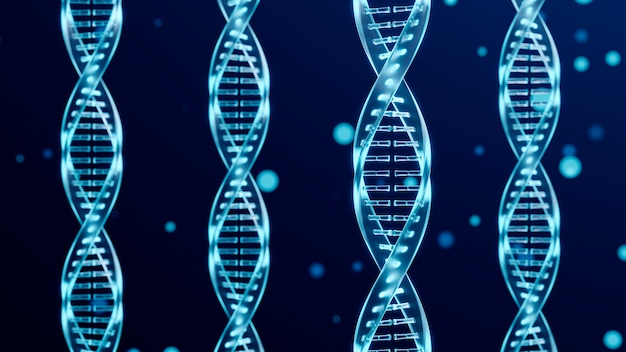 DNA 表現の概念