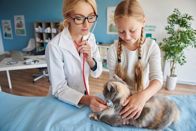 猫の脈拍をチェックする医者