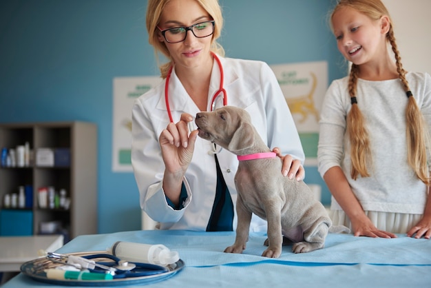 病気の子犬にピルを与える医者