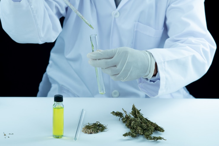 Free Photo doctor hand hold and offer to patient medical marijuana and oil. 