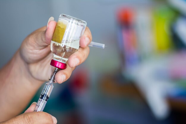 Doctor hold syringe prepare for injection on cat's ...