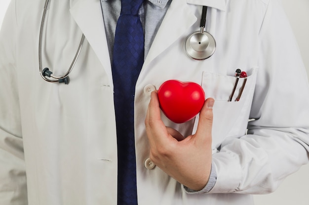 Доктор, показывая пластмассовое сердце