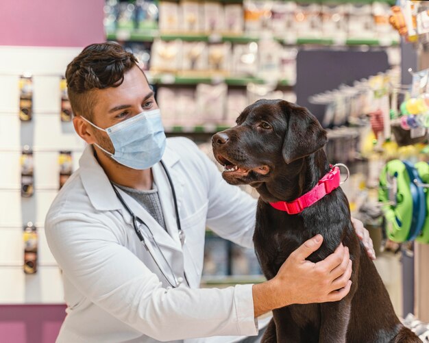 ペットショップで獣医にチェックされている犬