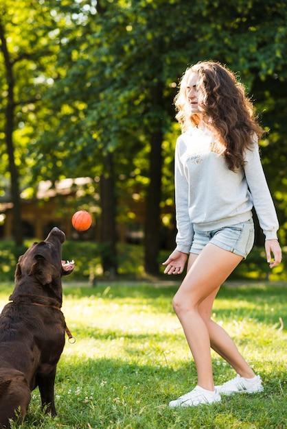 Dog catching ball thrown by woman in park