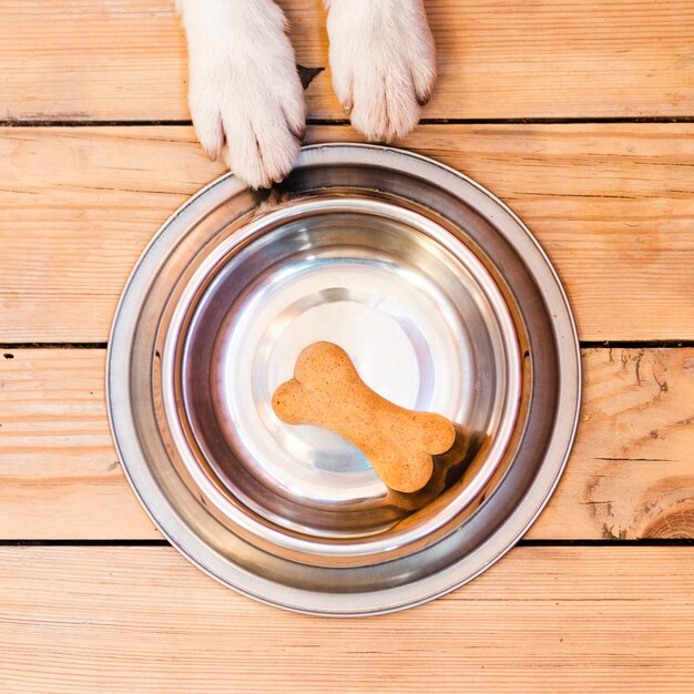 Dog and food bowl with bone