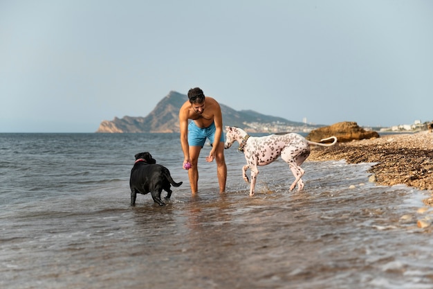 해변에서 즐거운 시간을 보내는 개