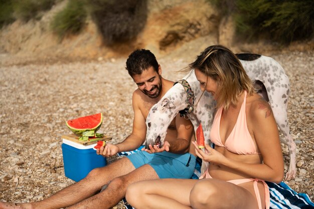 ビーチで楽しんでいる犬