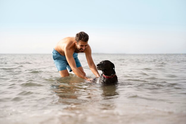 ビーチで楽しんでいる犬