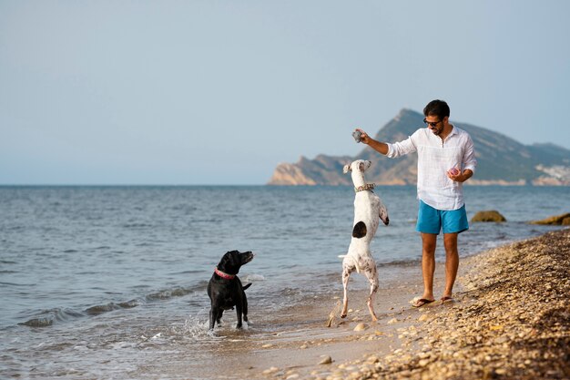 ビーチで楽しんでいる犬