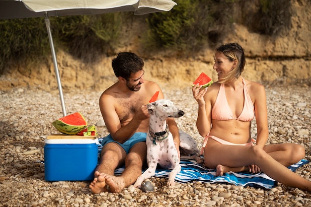 Cane che si diverte in spiaggia