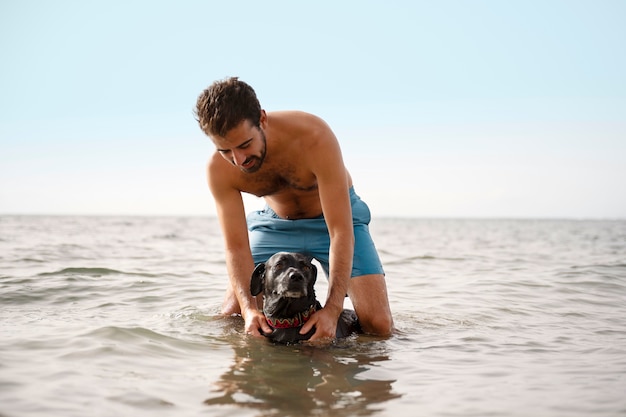 Free photo dog having fun at the beach