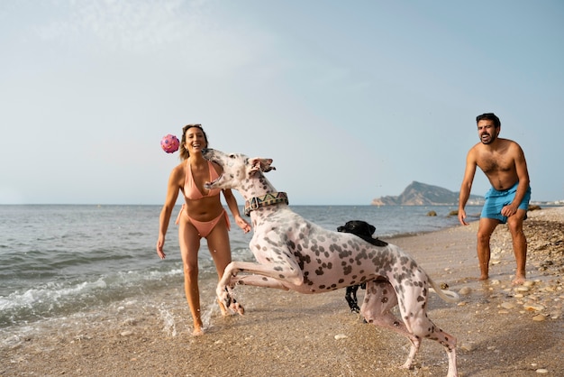 ビーチで楽しんでいる犬