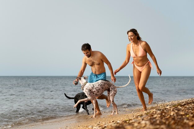 Dog having fun at the beach