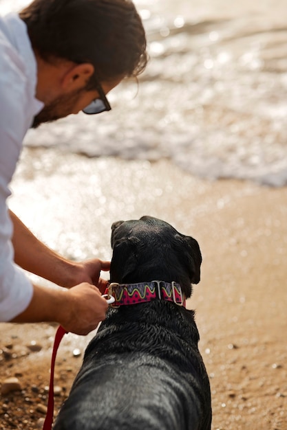 ビーチで楽しんでいる犬