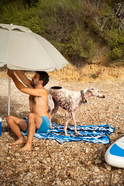 ビーチで楽しんでいる犬