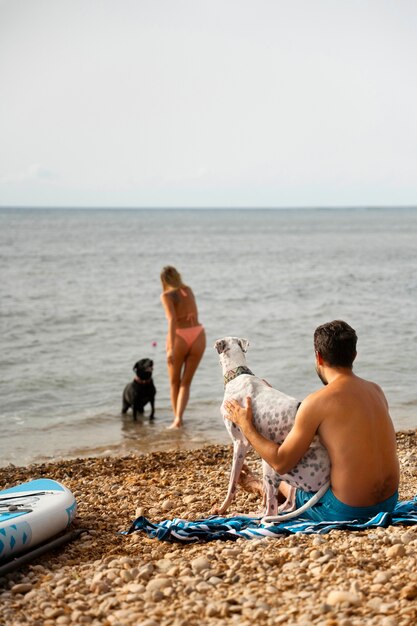 Dog having fun at the beach