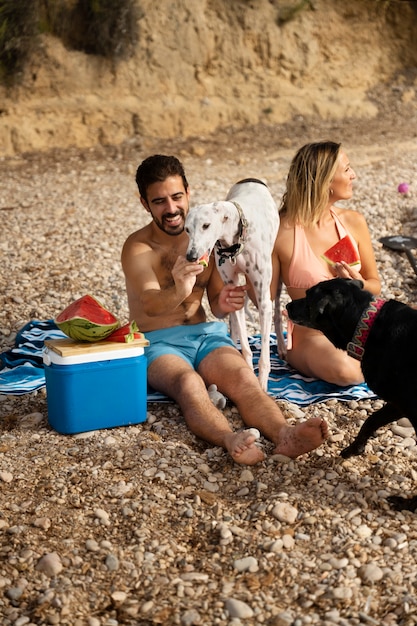 Free photo dog having fun at the beach