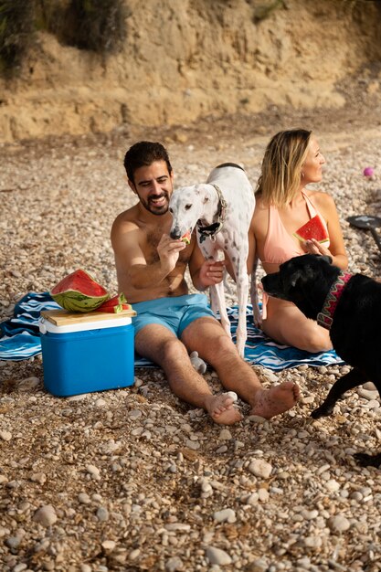 ビーチで楽しんでいる犬