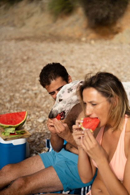 Foto gratuita cane che si diverte in spiaggia